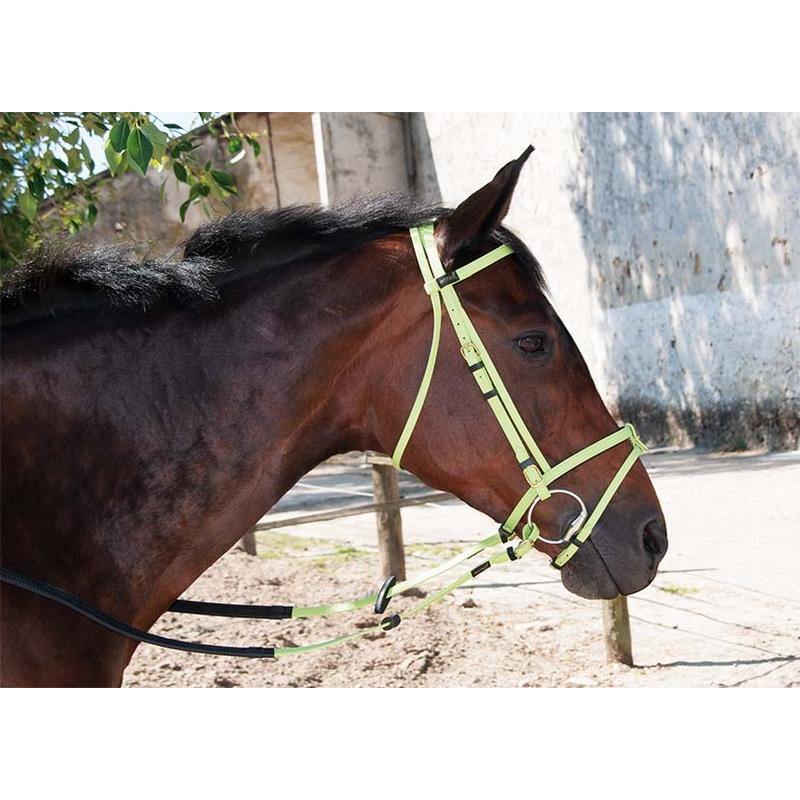 Biotack Bridon - SHOP HORSE